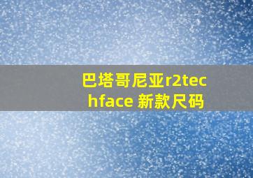 巴塔哥尼亚r2techface 新款尺码